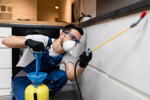Best Mosquito Control Services  in Commerce, GA