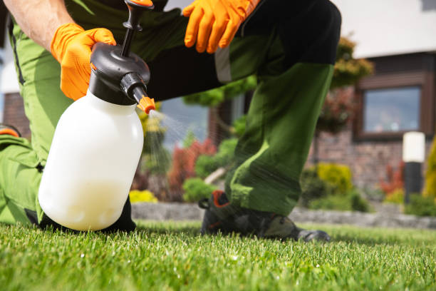 Best Pest Prevention Services  in Commerce, GA