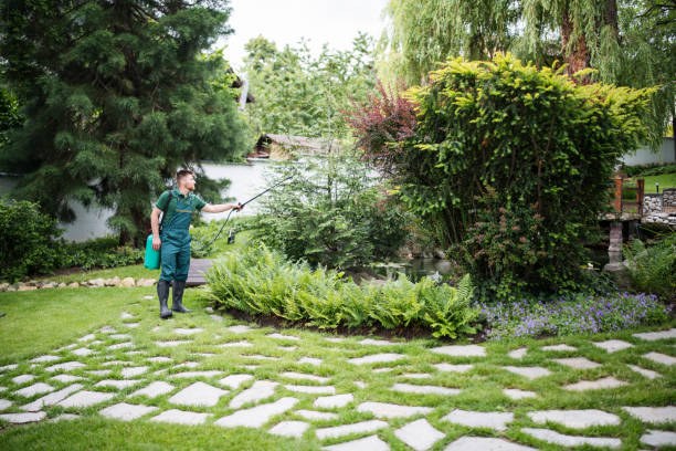 Best Affordable Pest Control Services  in Commerce, GA