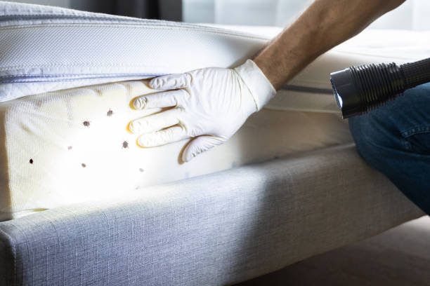 Best Affordable Pest Control Services  in Commerce, GA
