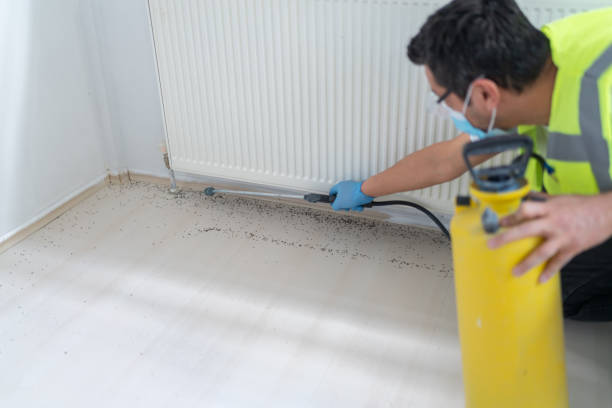 Best Pest Control Near Me  in Commerce, GA
