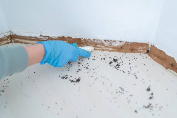 Best Exterminator Services  in Commerce, GA