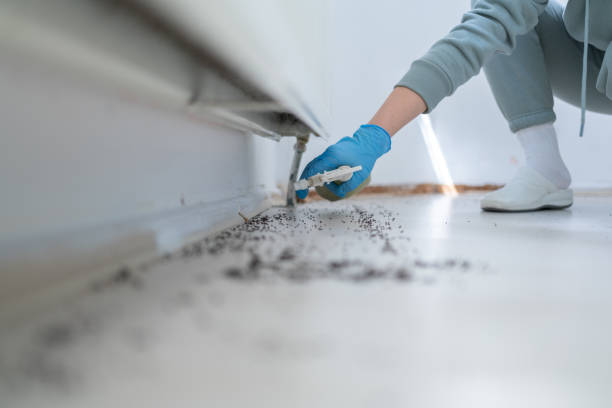 Best Termite Control Services  in Commerce, GA