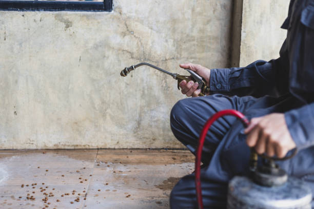 Pest Prevention Services in Commerce, GA